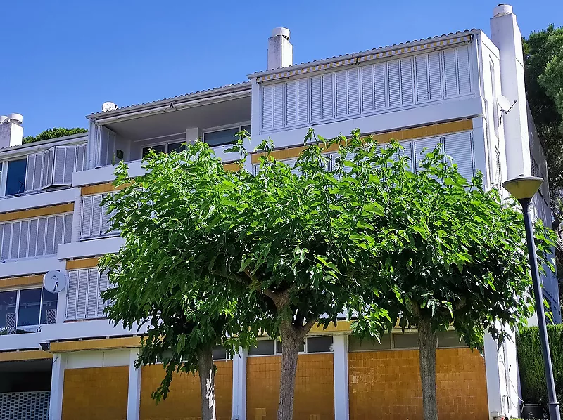 Precioso apartamento en Politur con terraza de 24 m2