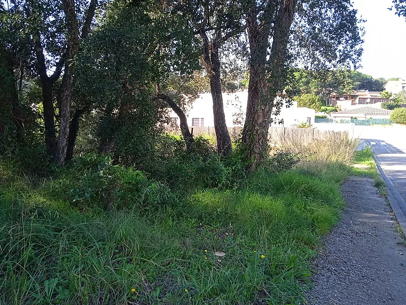 Parcela en Urbanización Mas Pallí, Calonge - Costa Brava