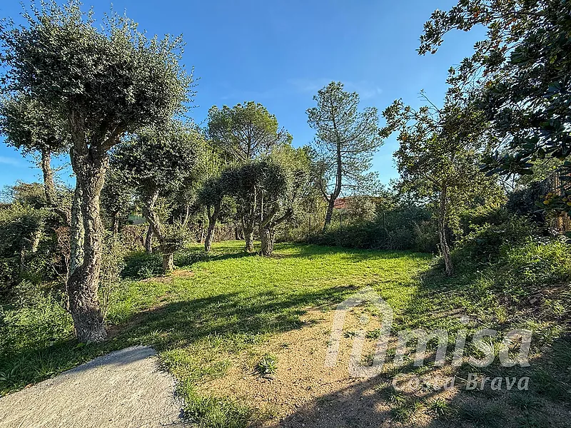 Charmante maison rustique avec piscine, studio indépendant et terrain constructible